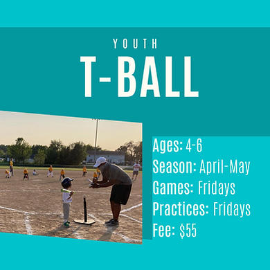 T-Ball spring